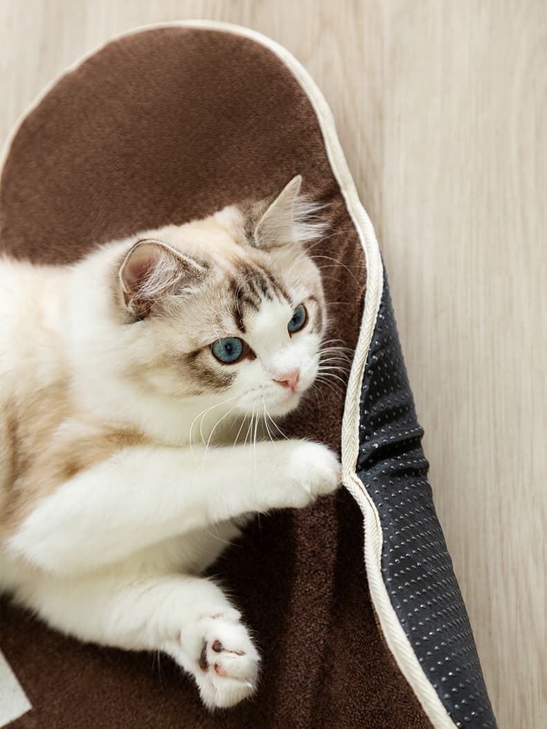 ペットマット 猫用 ふわもこ眠り心地マット