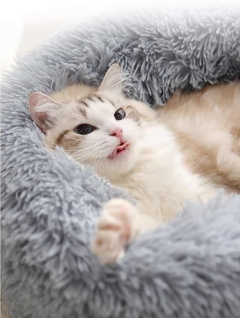 ペットマット 猫用もこもこ幸せベッド