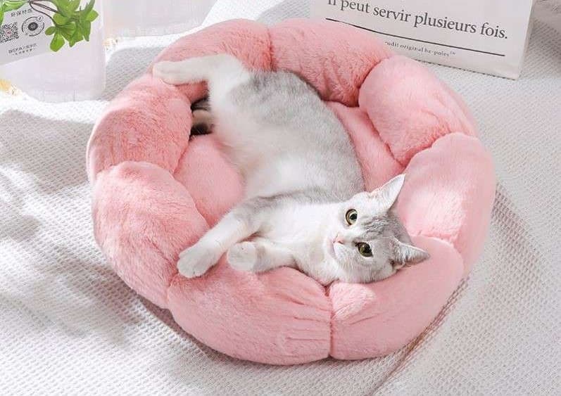 ペットマット 猫用もこもこフラワーベッド