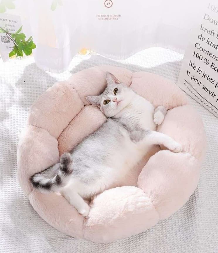 ペットマット 猫用もこもこフラワーベッド