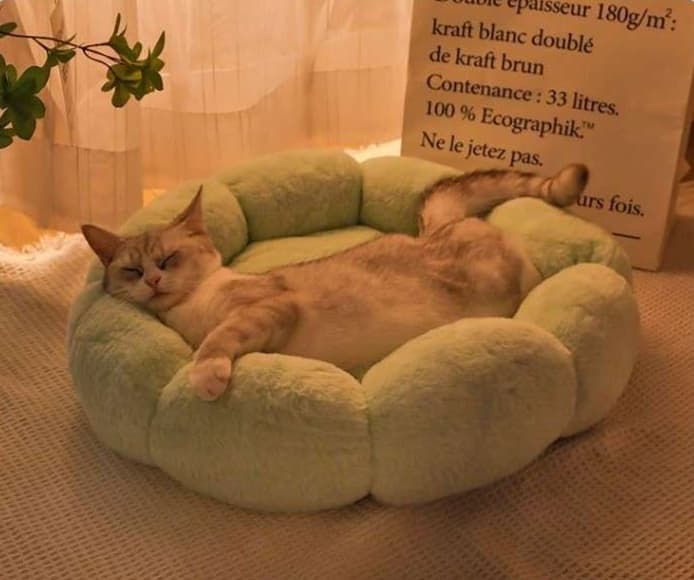 ペットマット 猫用もこもこフラワーベッド