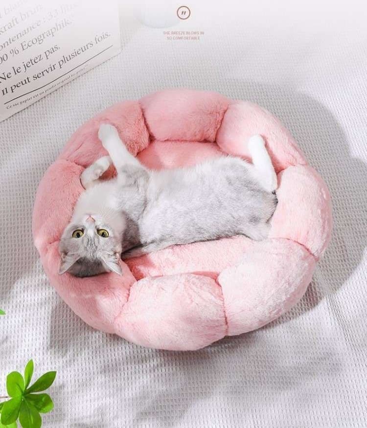ペットマット 猫用もこもこフラワーベッド