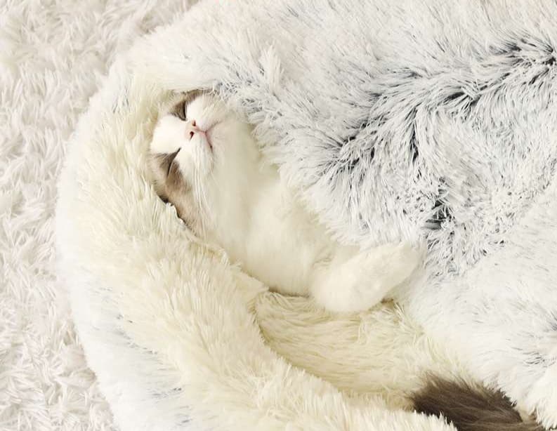 ペットマット 猫用ふわもこ贅沢ペットベッド