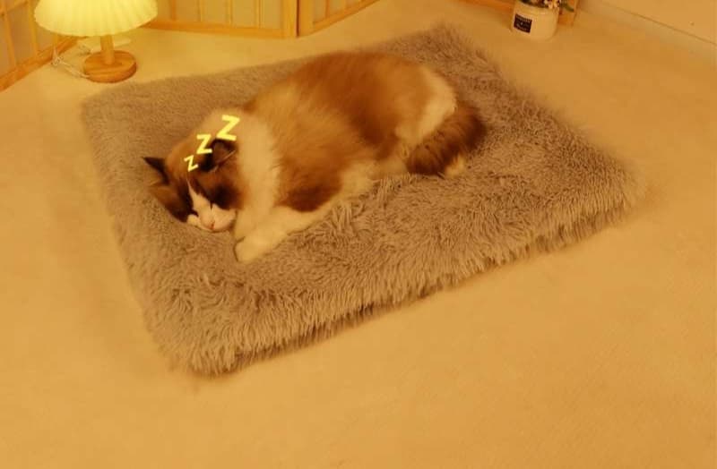 ペットマット 猫用 ふわもこ夢心地マット