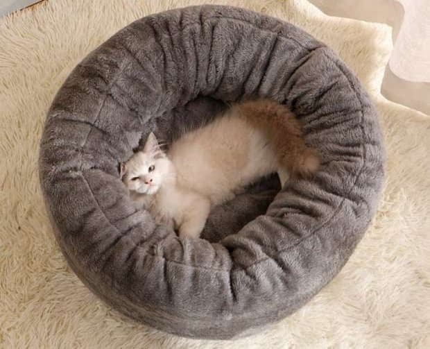 ペットマット 猫用もこもこ夢心地ペットベッド