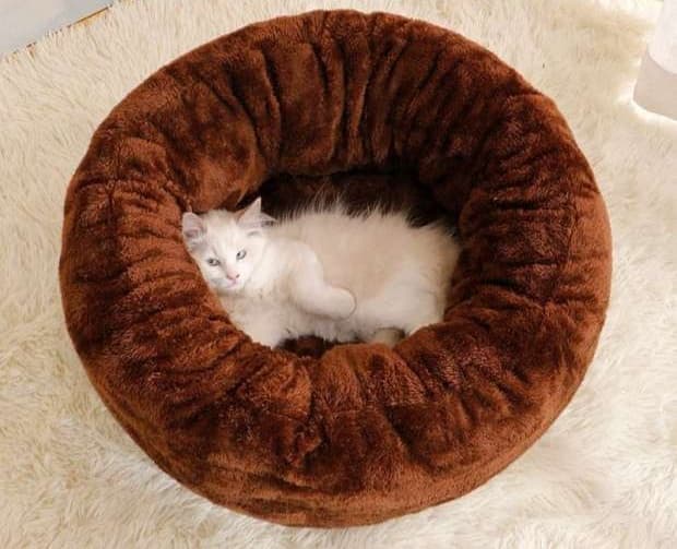 ペットマット 猫用もこもこ夢心地ペットベッド