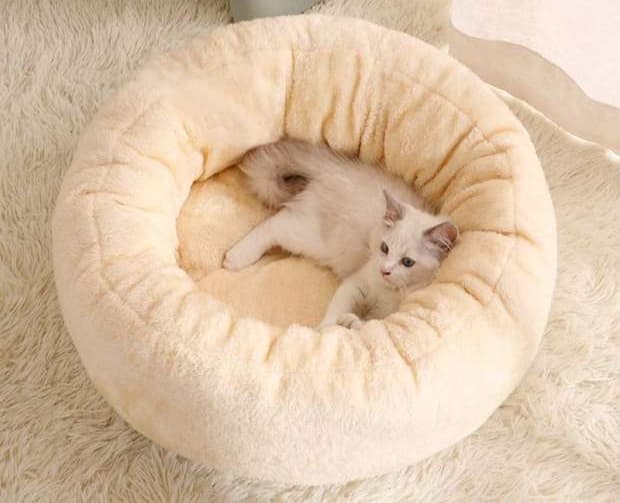 ペットマット 猫用もこもこ夢心地ペットベッド
