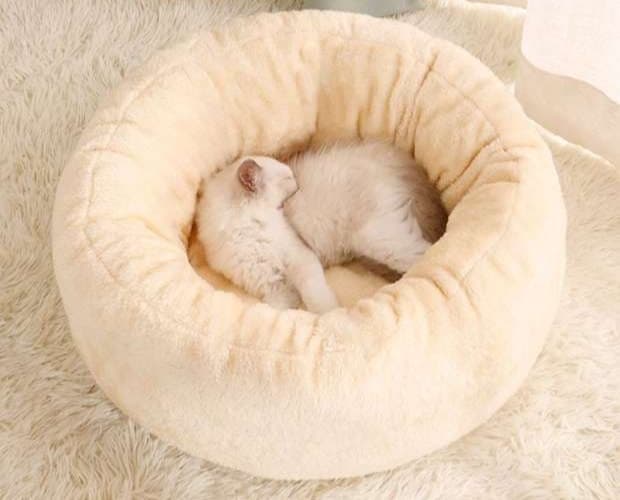 ペットマット 猫用もこもこ夢心地ペットベッド