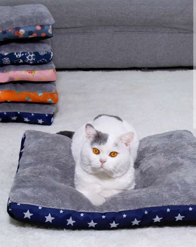 ペットマット 猫用 ふかふか快適ペットマット