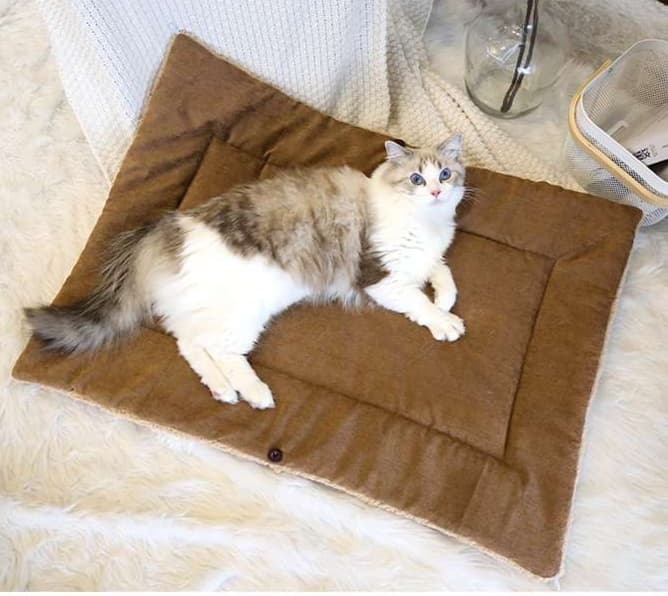ペットマット 猫用 もこもこ包み込むねこ寝ぶくろ
