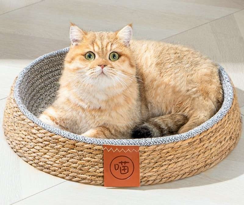ペットマット 猫用 涼やか籐風ペット寝かご