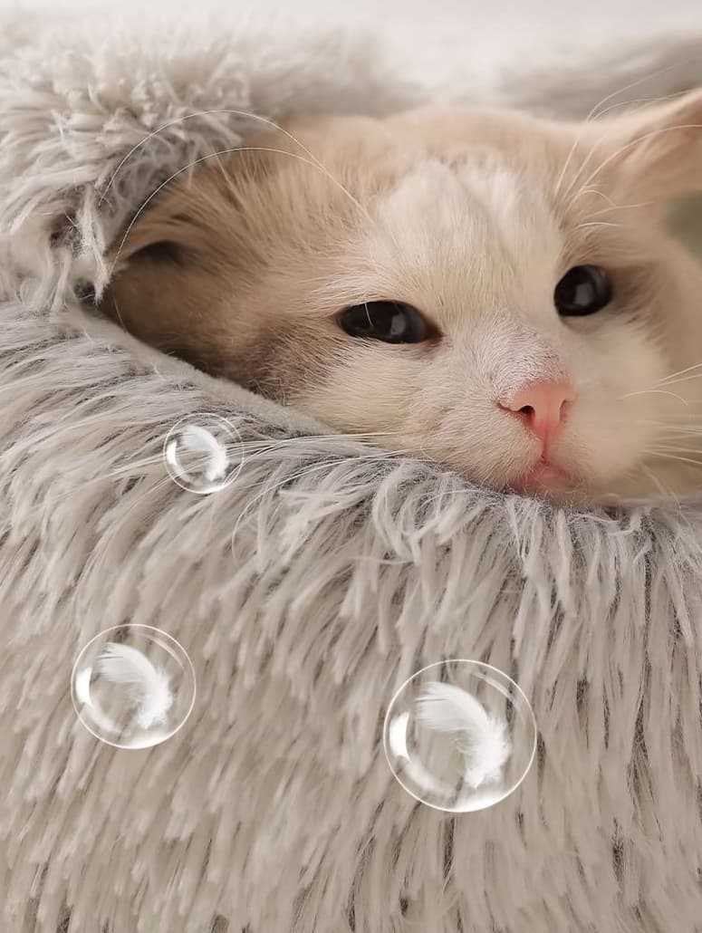 ペットマット 猫用 もこもこドーム型ベッド