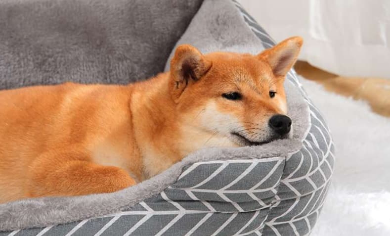ペットマット 犬猫兼用 ふかふかリラックスマット