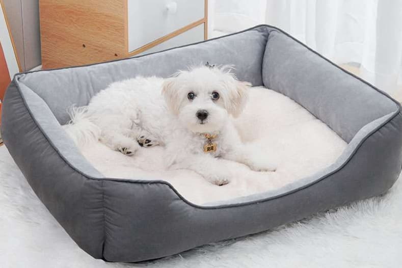ペットマット 犬用 ふんわりラグジュアリーペットベッド