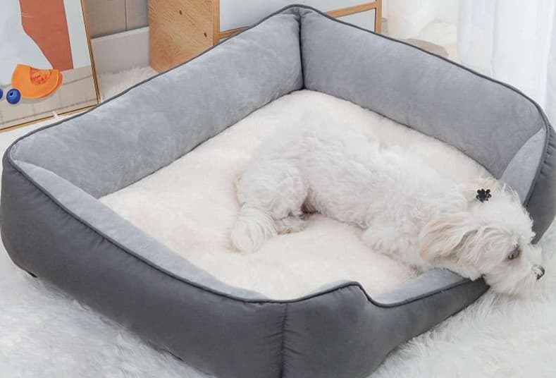 ペットマット 犬用 ふんわりラグジュアリーペットベッド