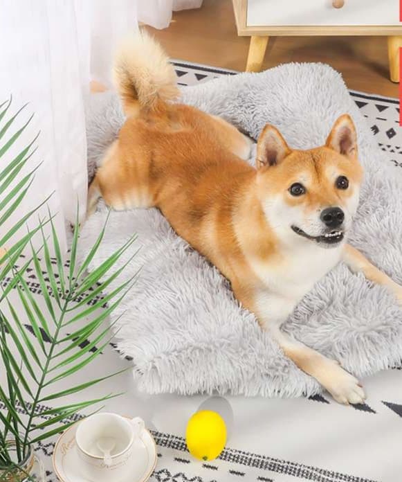 ペットマット 犬用 もこもこ暖か冬用マット