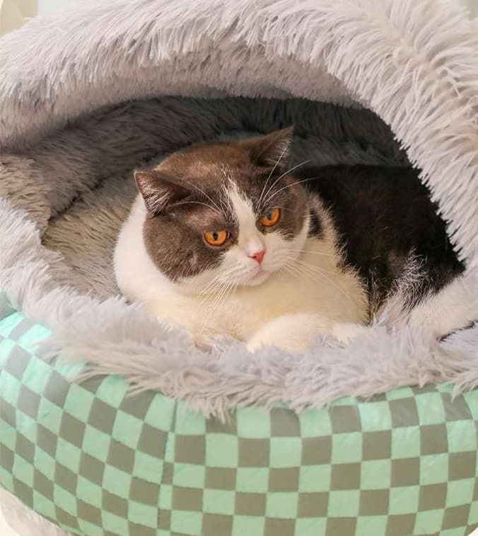ペットマット 猫用 ふかふかドーム型ベッド
