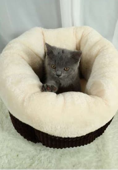 ペットマット 猫用 もこもこ冬眠ベッド