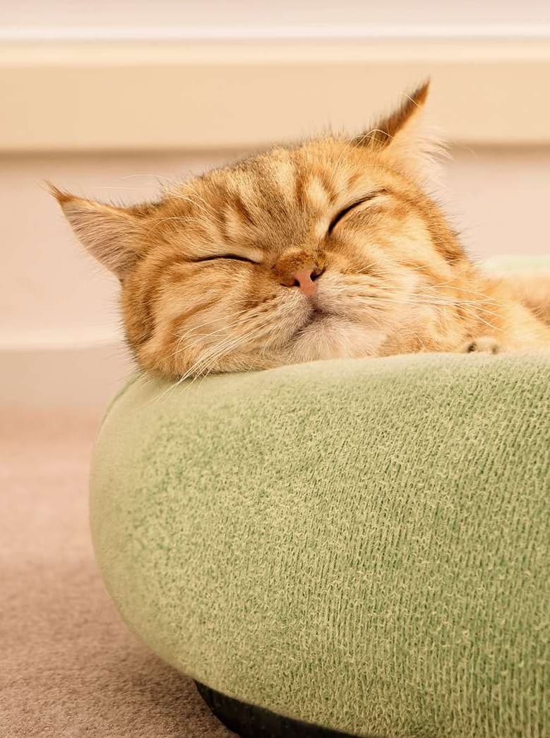 ペットマット 猫用 もふもふ包み込むマット