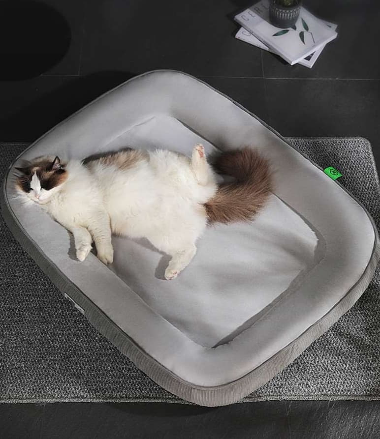 ペットマット 猫用 ふかふか四季マット
