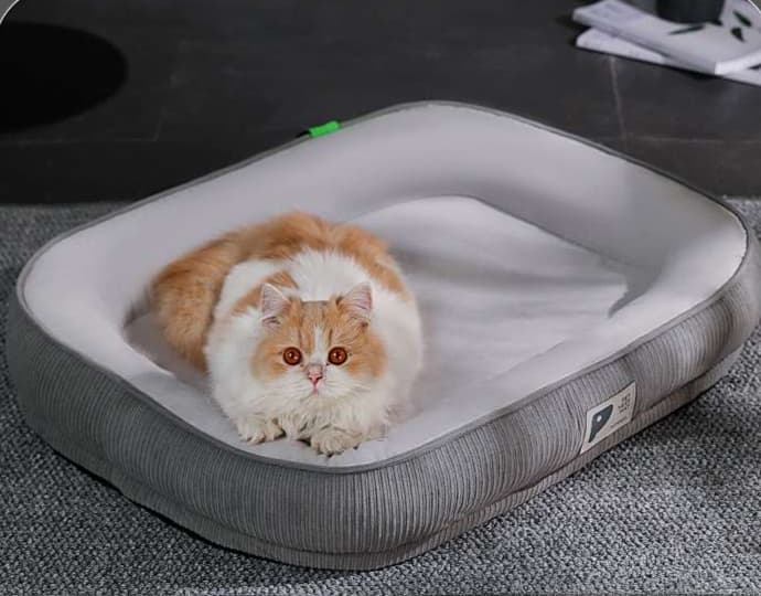 ペットマット 猫用 ふかふか四季マット