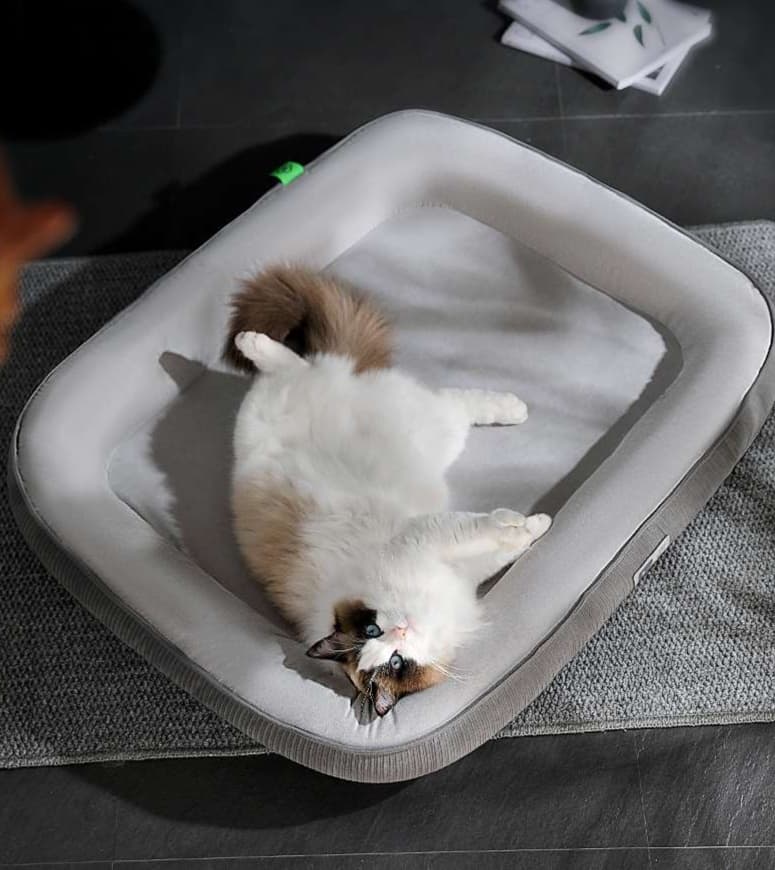 ペットマット 猫用 ふかふか四季マット