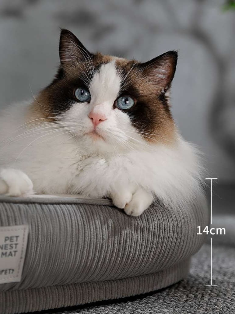 ペットマット 猫用 ふかふか四季マット