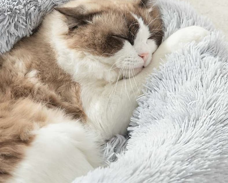 ペットマット 猫用 もふもふ贅沢おやすベッド
