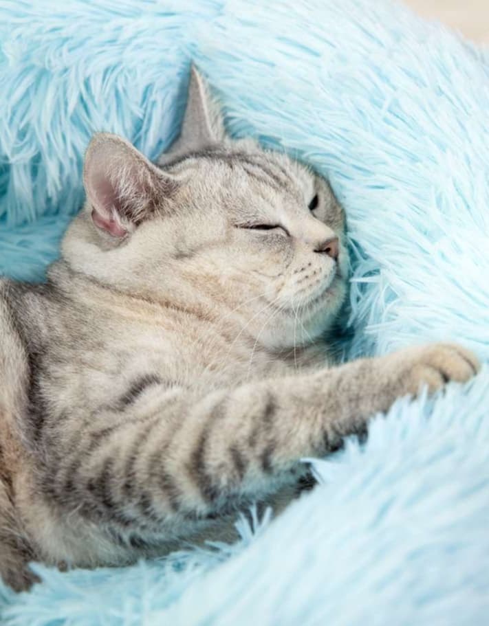 ペットマット 猫用 もふもふ贅沢おやすベッド