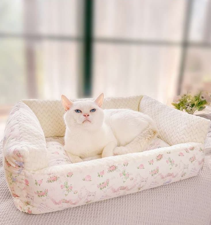 ペットマット 猫用 リボン付きお姫様ペットソファー