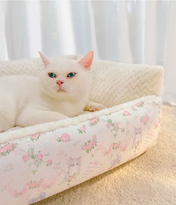 ペットマット 猫用 リボン付きお姫様ペットソファー