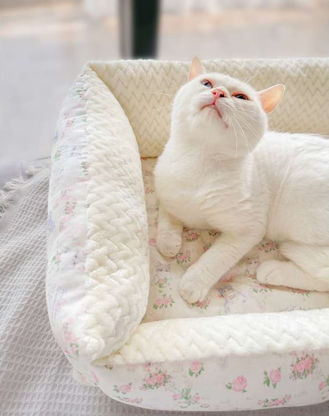 ペットマット 猫用 リボン付きお姫様ペットソファー