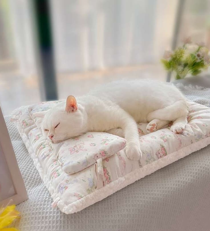 ペットマット 猫用 リボン付きお姫様ペットソファー