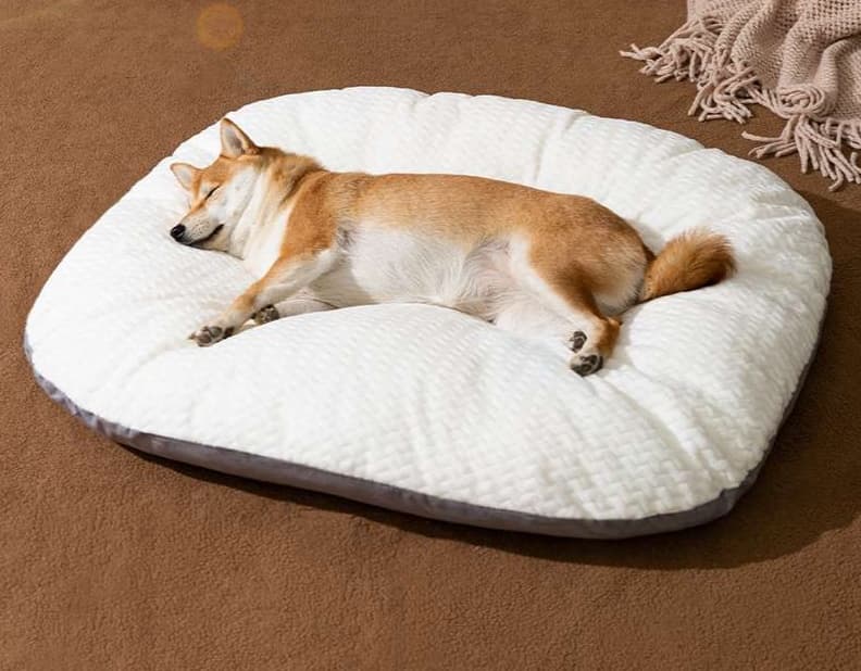 ペットマット 犬用 ふんわり雲の休息マット