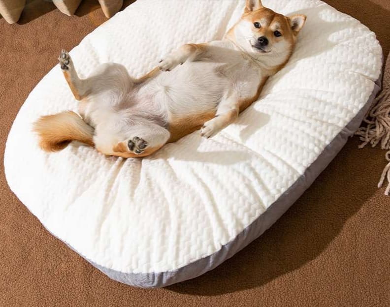 ペットマット 犬用 ふんわり雲の休息マット