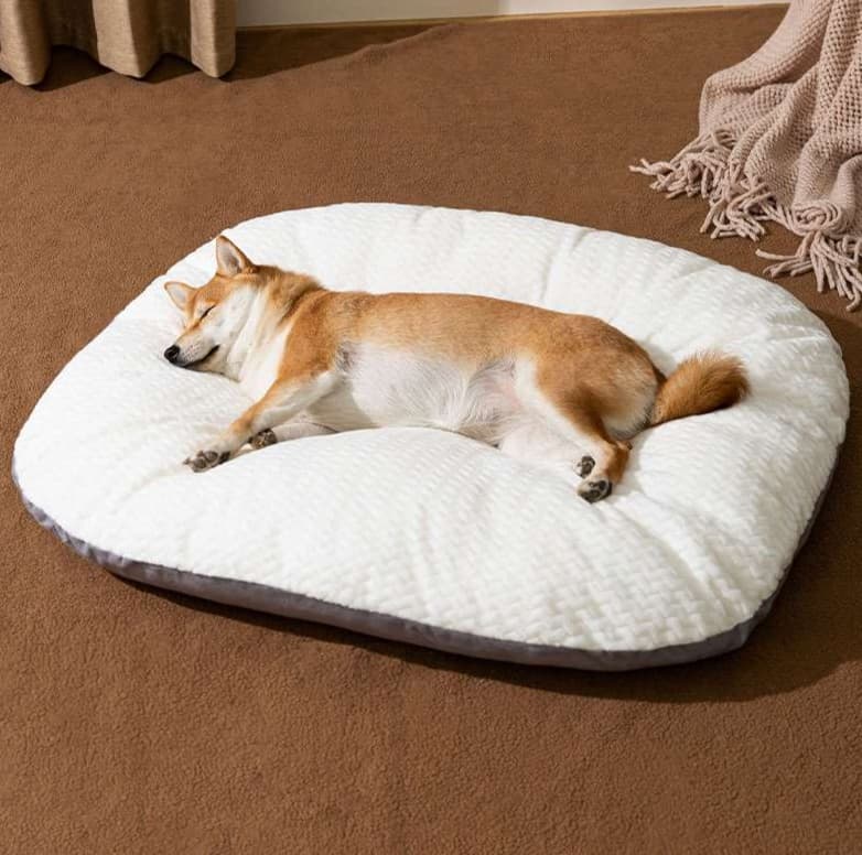 ペットマット 犬用 ふんわり雲の休息マット