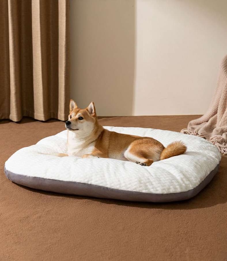ペットマット 犬用 ふんわり雲の休息マット