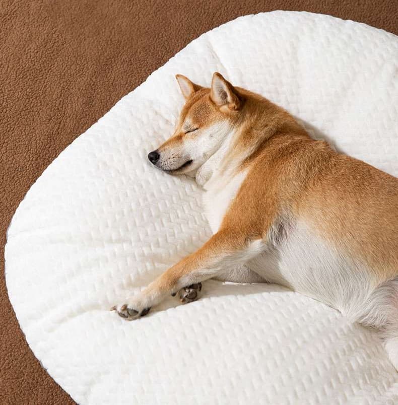 ペットマット 犬用 ふんわり雲の休息マット