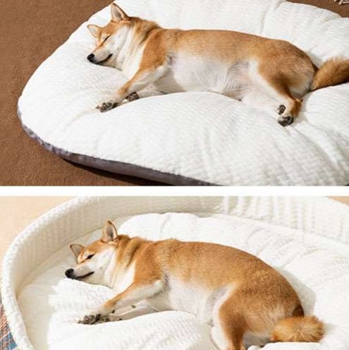 ペットマット 犬用 ふんわり雲の休息マット