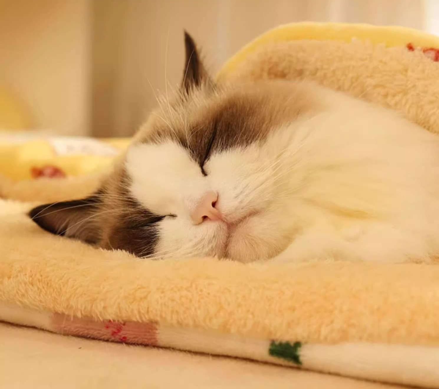 ペットマット 猫用 ふかふか安眠マット