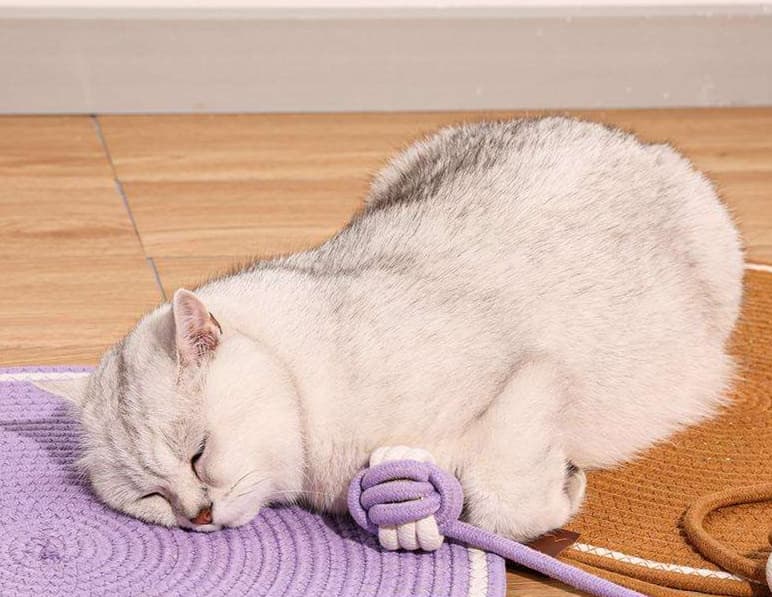 ペットマット 猫用 高級ロープ型おくつろぎマット