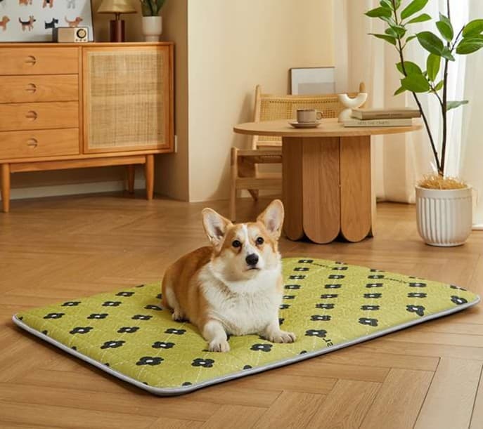ペットマット 犬用 ふんわり冬の癒しマット