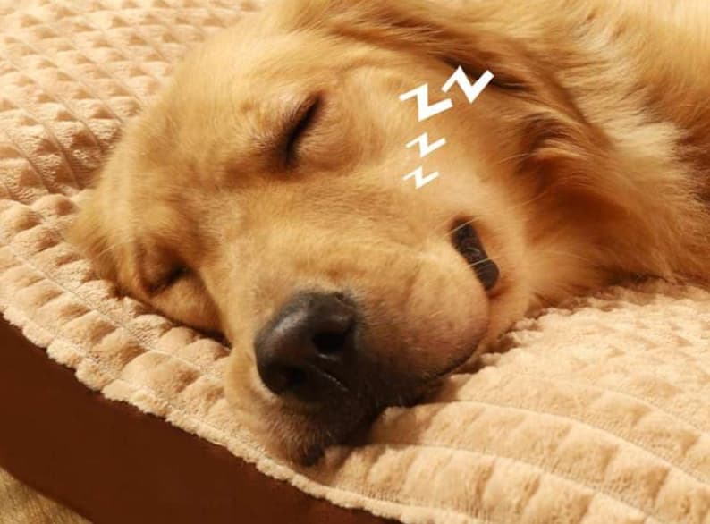 ペットマット 犬用 ゆったりラグジュアリーマット