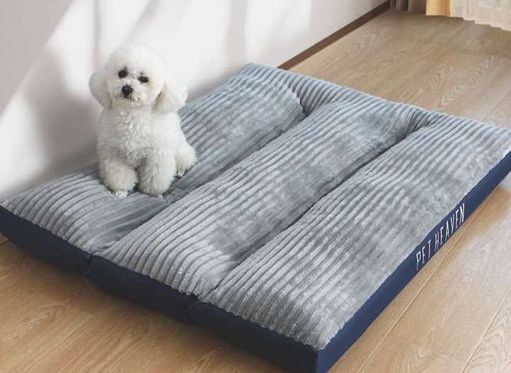 ペットマット 犬猫兼用 ふわもこ夢ごこちマット
