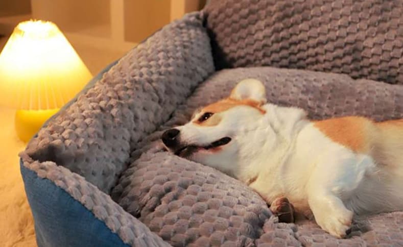 ペットマット 犬用 もふもふ秋冬兼用ドッグソファー