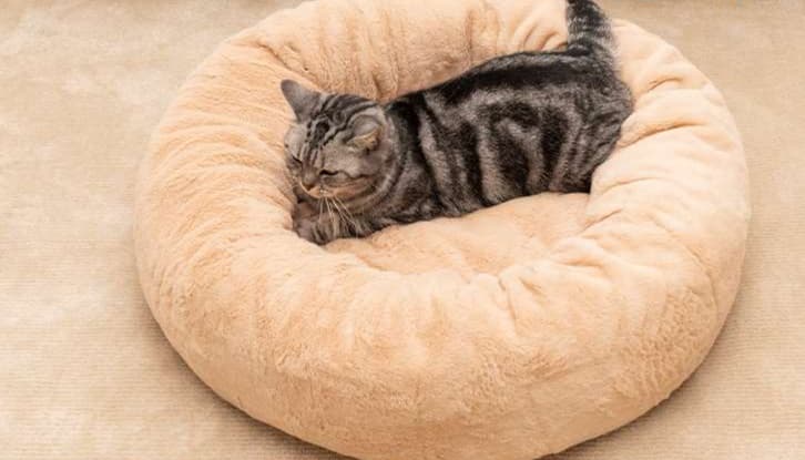 ペットマット 猫用 もふもふ安眠ドーナツベッド