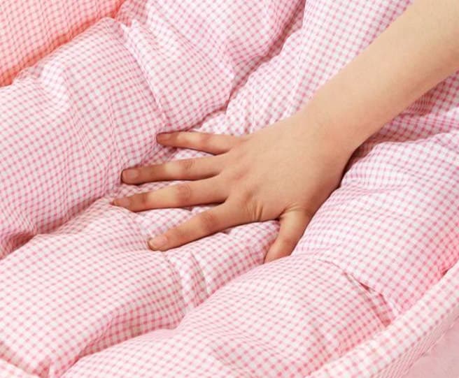 ペットマット 猫用ふんわりチュール付きペットベッド