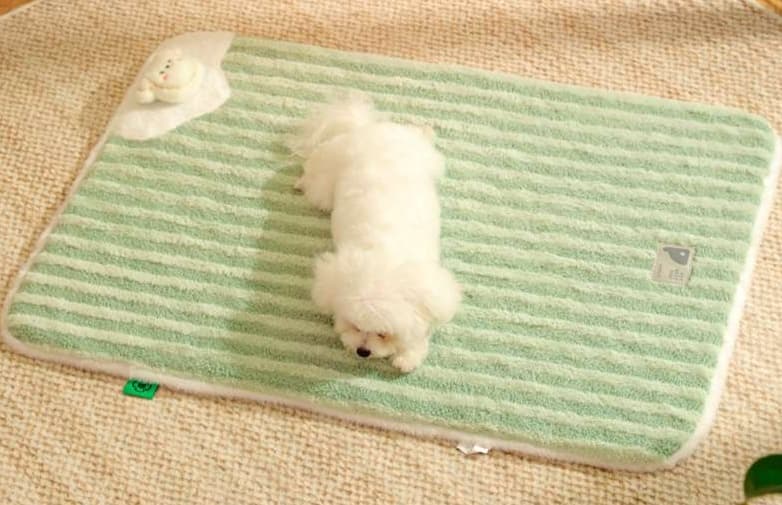 ペットマット 犬用 ひんやり快適マット