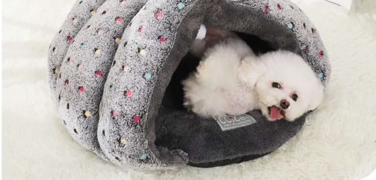 ペットマット 犬用 もこもこドーム型ペットベッド