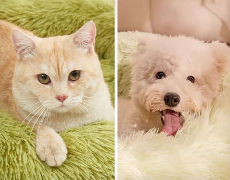 ペットマット 猫用 もふもふ睡眠マット